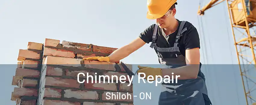  Chimney Repair Shiloh - ON