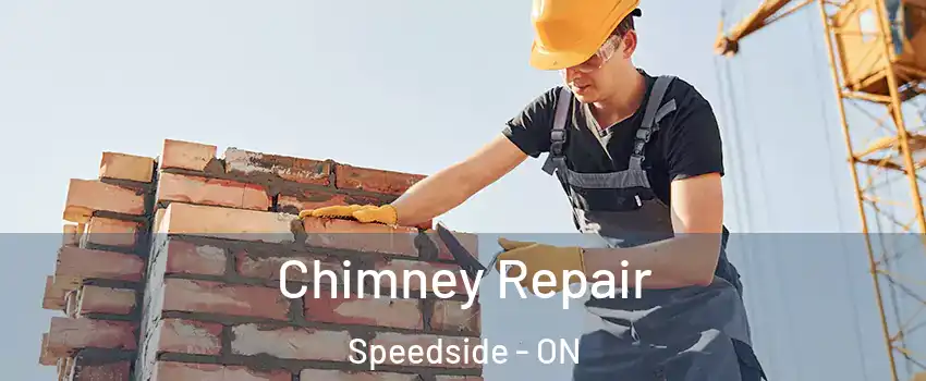  Chimney Repair Speedside - ON