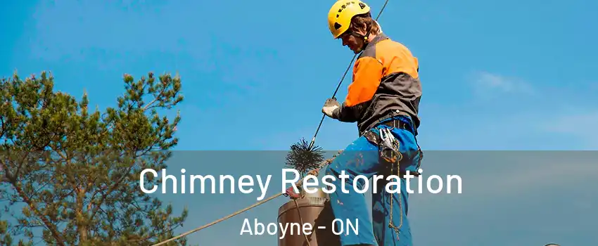  Chimney Restoration Aboyne - ON