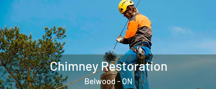  Chimney Restoration Belwood - ON