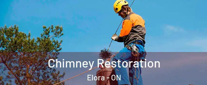  Chimney Restoration Elora - ON