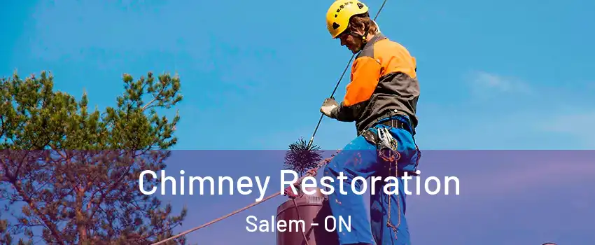  Chimney Restoration Salem - ON