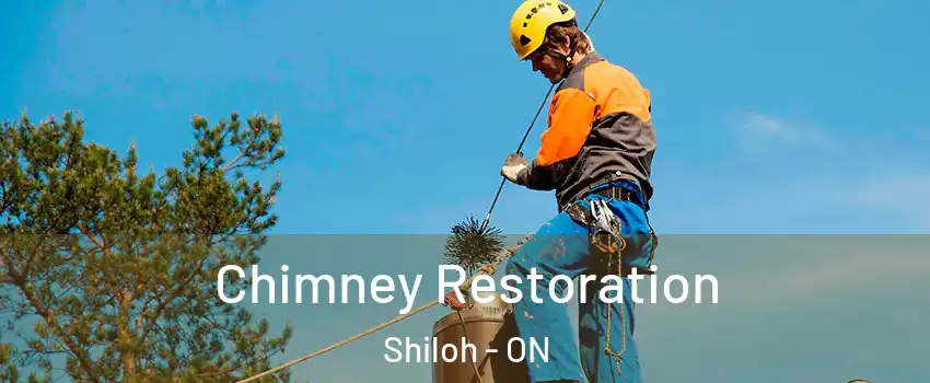  Chimney Restoration Shiloh - ON