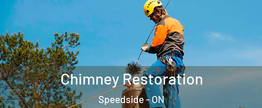  Chimney Restoration Speedside - ON