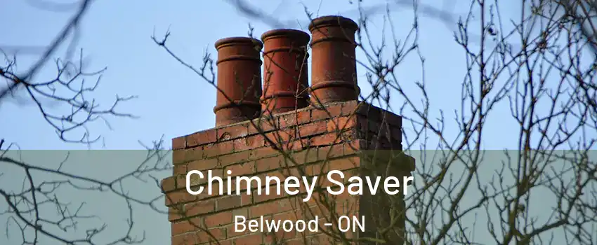  Chimney Saver Belwood - ON