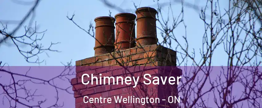  Chimney Saver Centre Wellington - ON