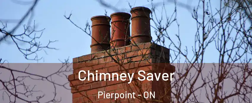  Chimney Saver Pierpoint - ON