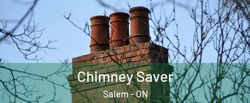 Chimney Saver Salem - ON