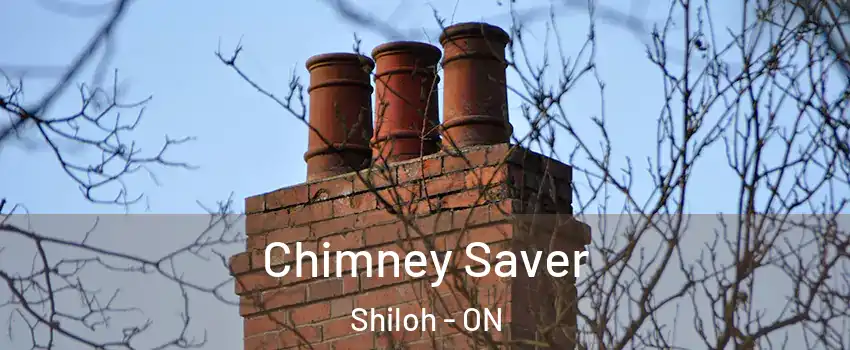  Chimney Saver Shiloh - ON