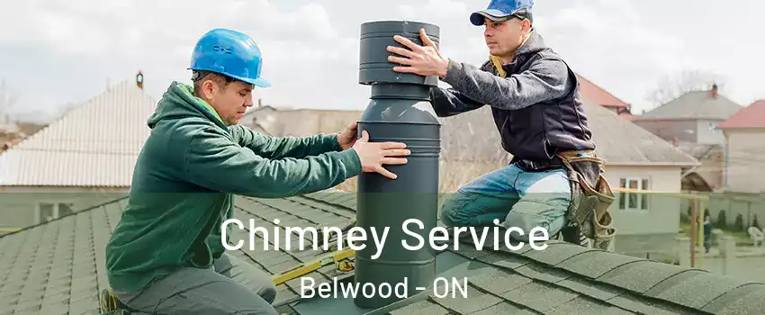  Chimney Service Belwood - ON