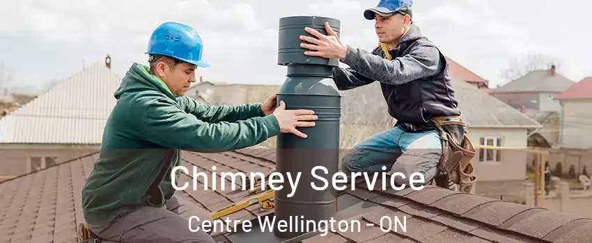  Chimney Service Centre Wellington - ON