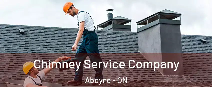  Chimney Service Company Aboyne - ON