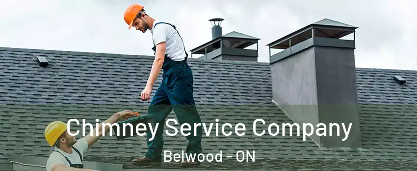  Chimney Service Company Belwood - ON