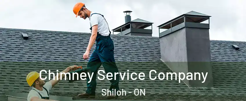 Chimney Service Company Shiloh - ON