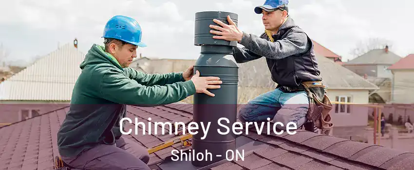  Chimney Service Shiloh - ON