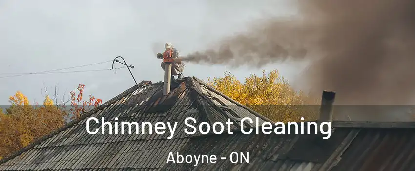  Chimney Soot Cleaning Aboyne - ON