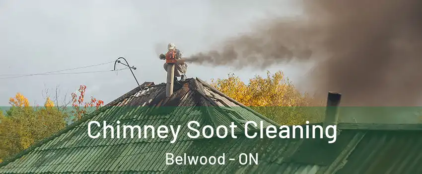  Chimney Soot Cleaning Belwood - ON