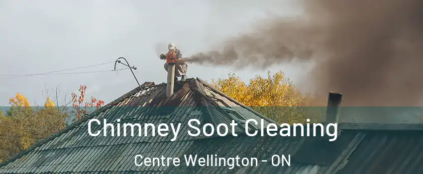  Chimney Soot Cleaning Centre Wellington - ON
