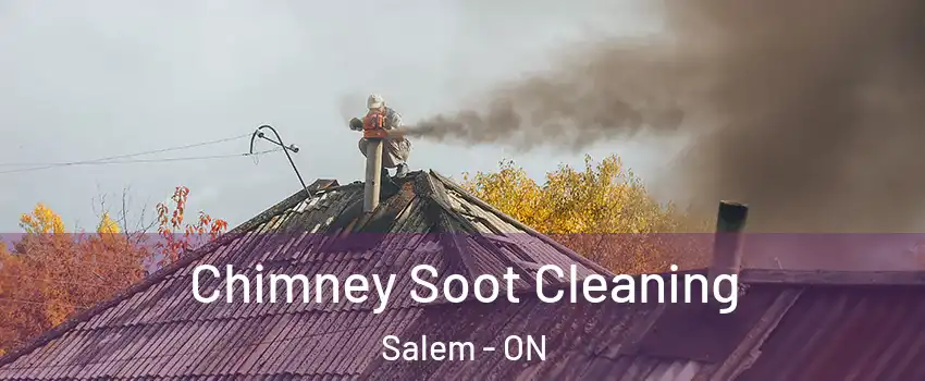  Chimney Soot Cleaning Salem - ON