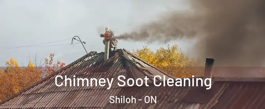  Chimney Soot Cleaning Shiloh - ON