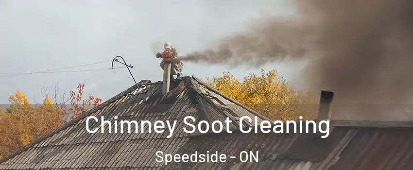 Chimney Soot Cleaning Speedside - ON