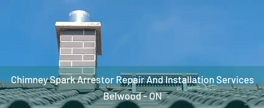  Chimney Spark Arrestor Repair And Installation Services Belwood - ON