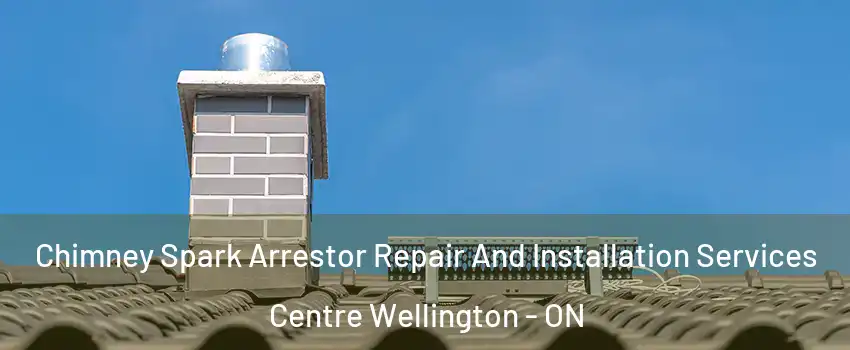  Chimney Spark Arrestor Repair And Installation Services Centre Wellington - ON