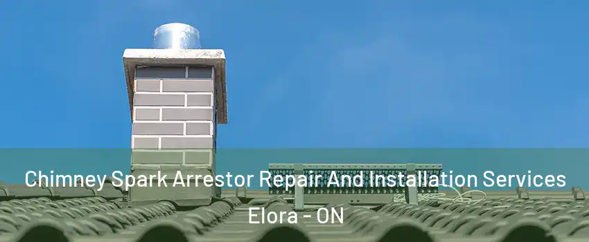  Chimney Spark Arrestor Repair And Installation Services Elora - ON