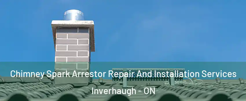 Chimney Spark Arrestor Repair And Installation Services Inverhaugh - ON
