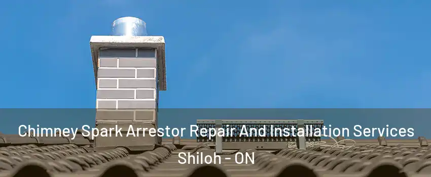 Chimney Spark Arrestor Repair And Installation Services Shiloh - ON