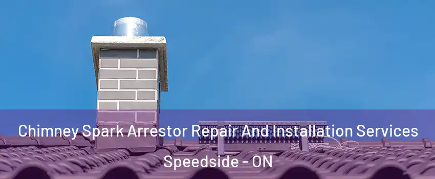  Chimney Spark Arrestor Repair And Installation Services Speedside - ON
