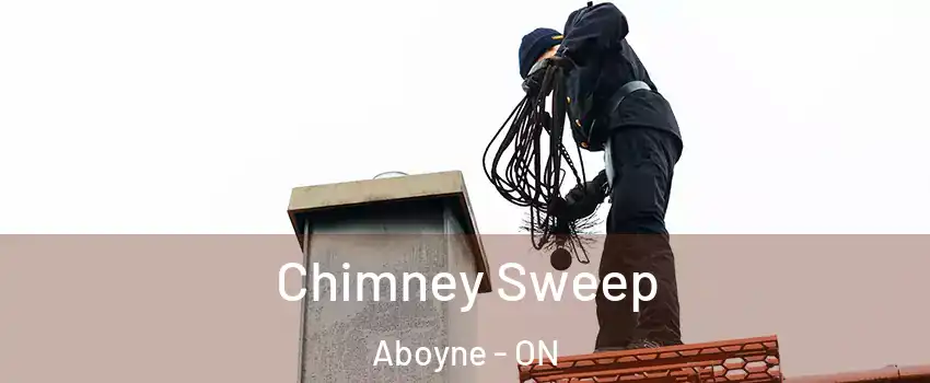  Chimney Sweep Aboyne - ON