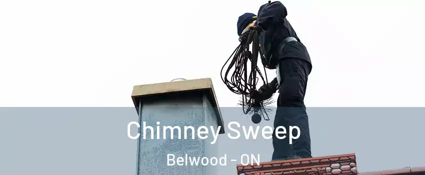  Chimney Sweep Belwood - ON