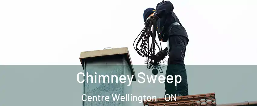  Chimney Sweep Centre Wellington - ON