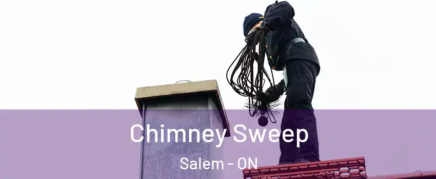 Chimney Sweep Salem - ON