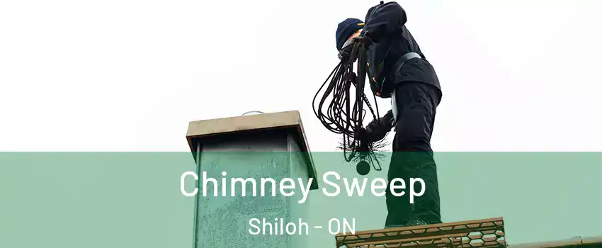  Chimney Sweep Shiloh - ON