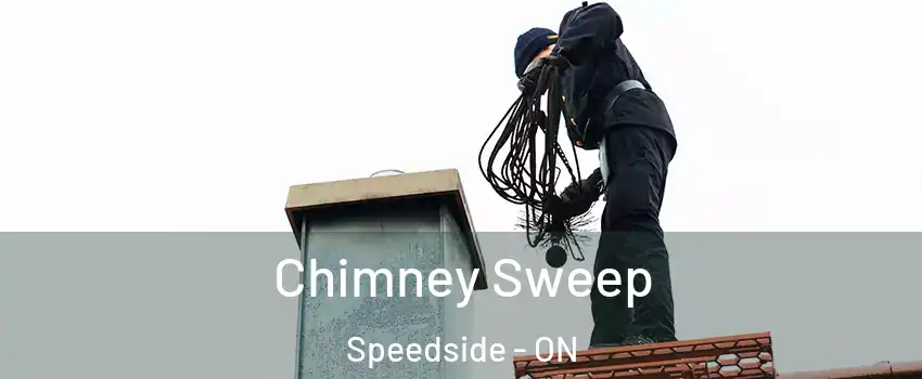  Chimney Sweep Speedside - ON