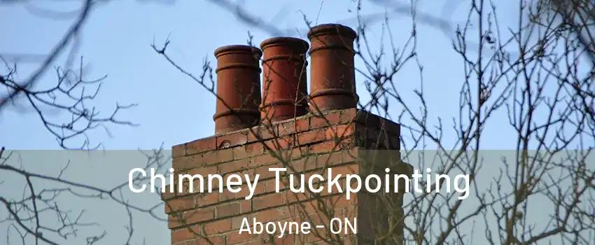 Chimney Tuckpointing Aboyne - ON