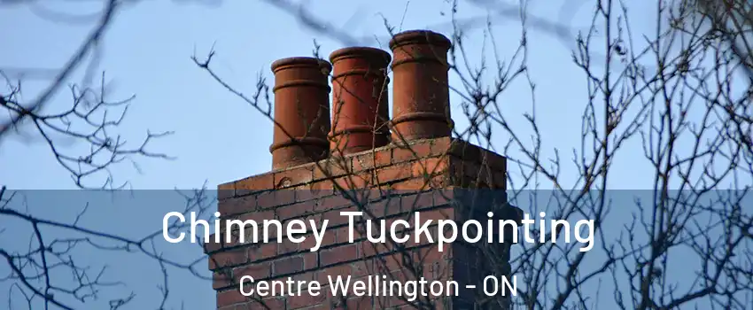  Chimney Tuckpointing Centre Wellington - ON