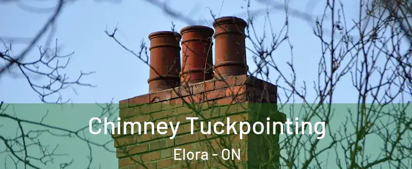 Chimney Tuckpointing Elora - ON