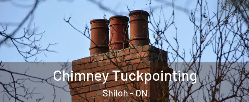  Chimney Tuckpointing Shiloh - ON