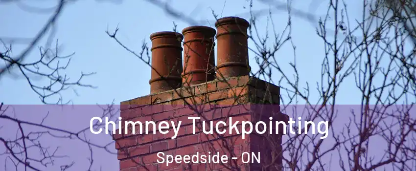  Chimney Tuckpointing Speedside - ON