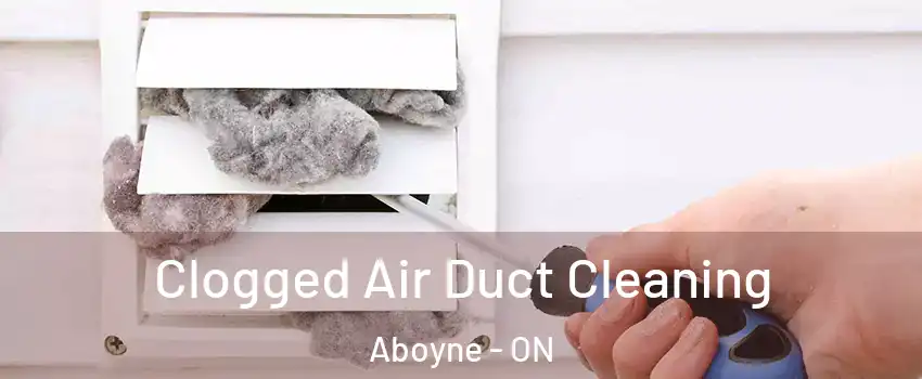  Clogged Air Duct Cleaning Aboyne - ON