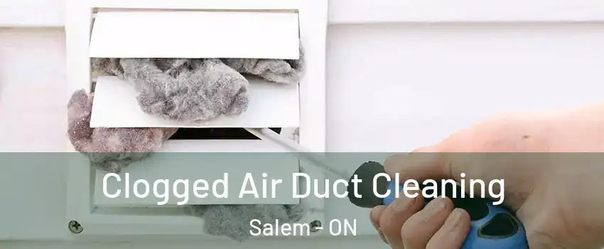  Clogged Air Duct Cleaning Salem - ON
