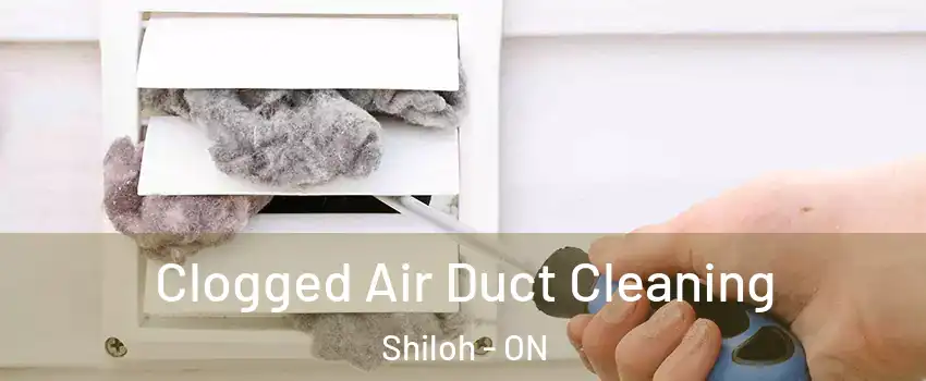  Clogged Air Duct Cleaning Shiloh - ON
