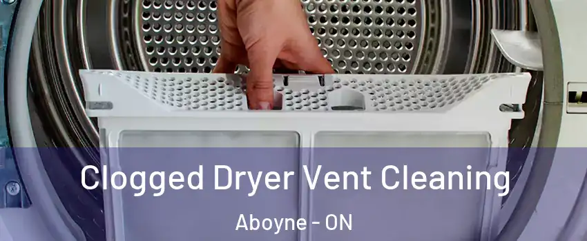  Clogged Dryer Vent Cleaning Aboyne - ON