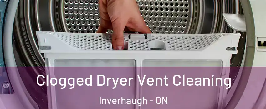  Clogged Dryer Vent Cleaning Inverhaugh - ON