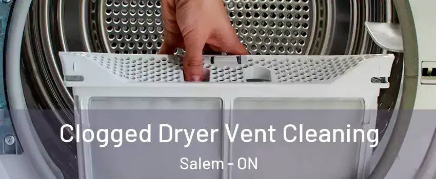  Clogged Dryer Vent Cleaning Salem - ON
