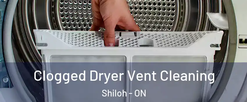 Clogged Dryer Vent Cleaning Shiloh - ON