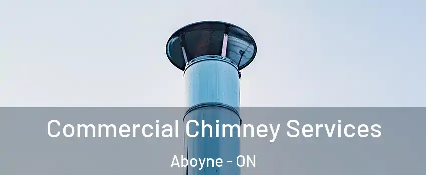  Commercial Chimney Services Aboyne - ON